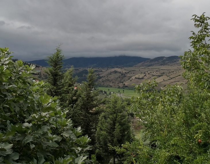 زمین فروشی سندس