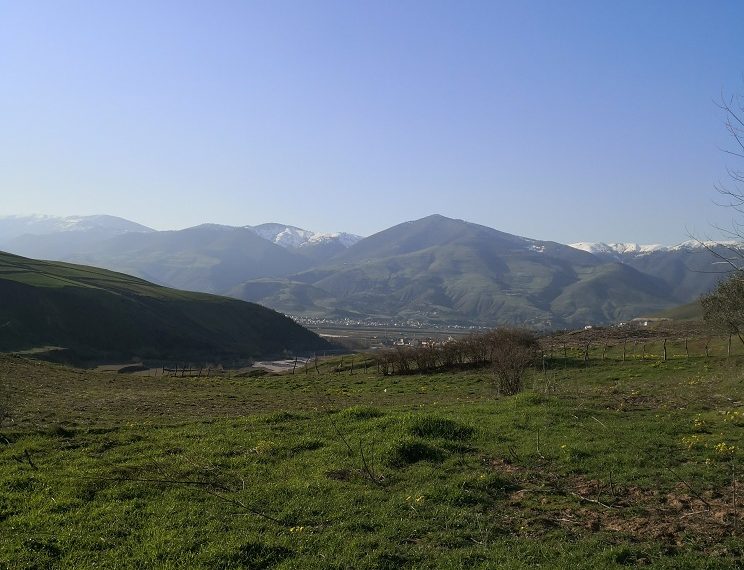 IMG-20210111-WA0022