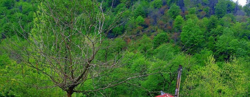 خانه باغ روستایی