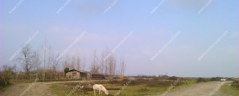 amlak zomorod anzali (102)