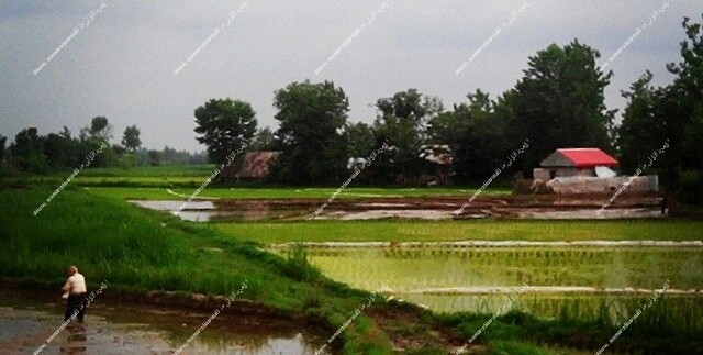 villa-iran-gilan-anzali-ramsar (56)