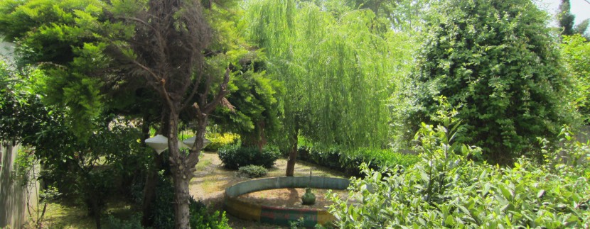 zoorodamlak (2)