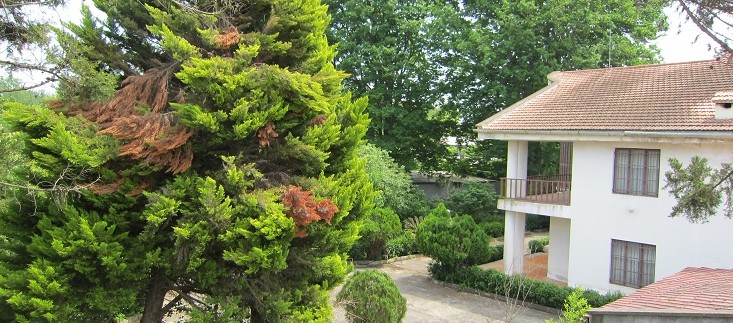 zoorodamlak (8)