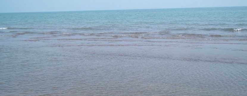 دریا زیباکنار (11)