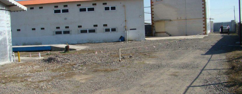 مرغداری (4)