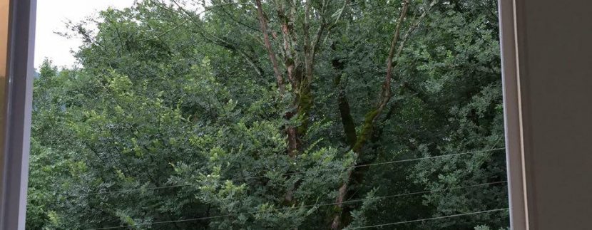 ویلا لاهیجان (4)